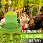 Futterautomat Mit Füßen, 4 Kg Grün I Hühner, Geflügel Futterspender I Automatischer Spender Für Hühnerfutter I Futterstation Aufhängbar I Wasserdichter Automat I Zubehör Zucht, Farming