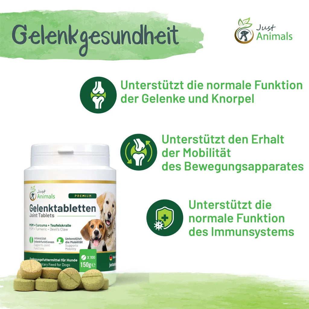  Gelenktabletten Für Hunde Mit Grünlippmuschel, Teufelskralle, MSM, Chondroitin, Glucosamin