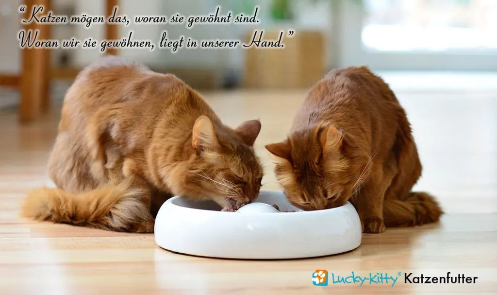  Lucky-Kitty Premium-Katzenfutter Probeset (8 X 200 Gramm = 1,6kg)