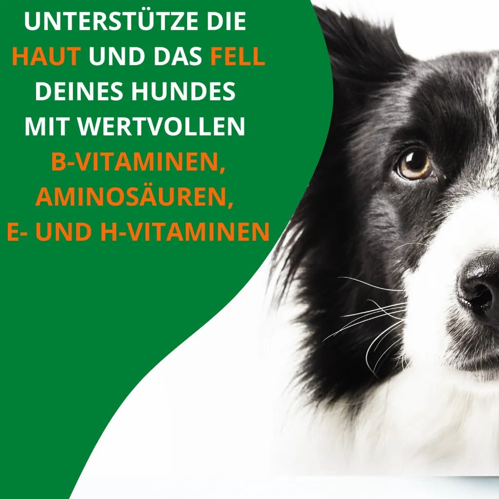  Reine Bierhefe Hund 400g I Pulver Für Hunde, Katzen & Pferde I Naturprodukt Für Haut Und Schönes Fell I Reich An B, E & H-Vitaminen