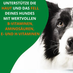  Reine Bierhefe Hund 400g I Pulver Für Hunde, Katzen & Pferde I Naturprodukt Für Haut Und Schönes Fell I Reich An B, E & H-Vitaminen