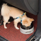  750ml Hunde Wassernapf Für Reisen, Abnehmbarer Auslaufsicherer, Spritzwassergeschützter Napf Für Hunde Und Katzen Unterwegs, Grau