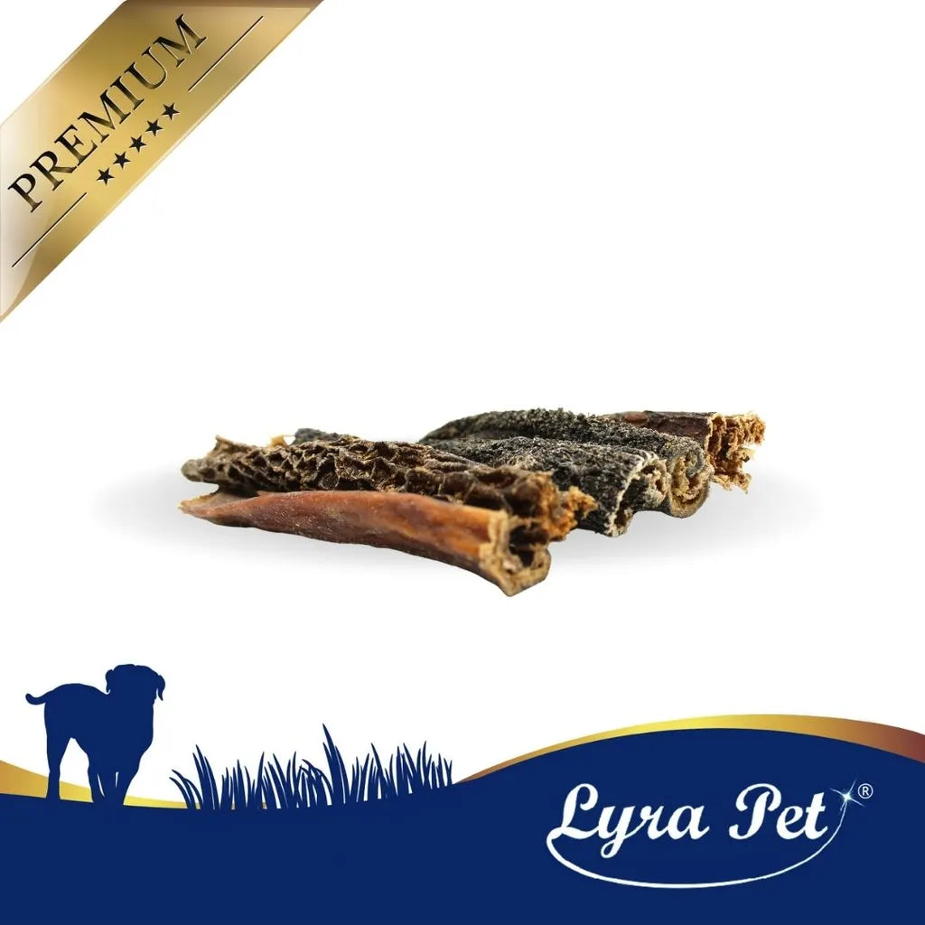  10 Kg Lyra Pet® Rinderpansen 12 - 15 Cm