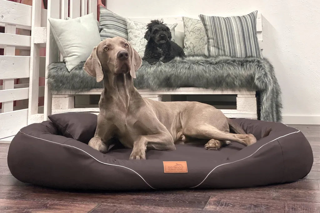  Tierlando® Orthopädisches Hundebett TIFFANY Easy-Clean | Große Hunde XXL - A) Größe: XL (115x90 Cm) | B) Farbe: 03 Schwarz