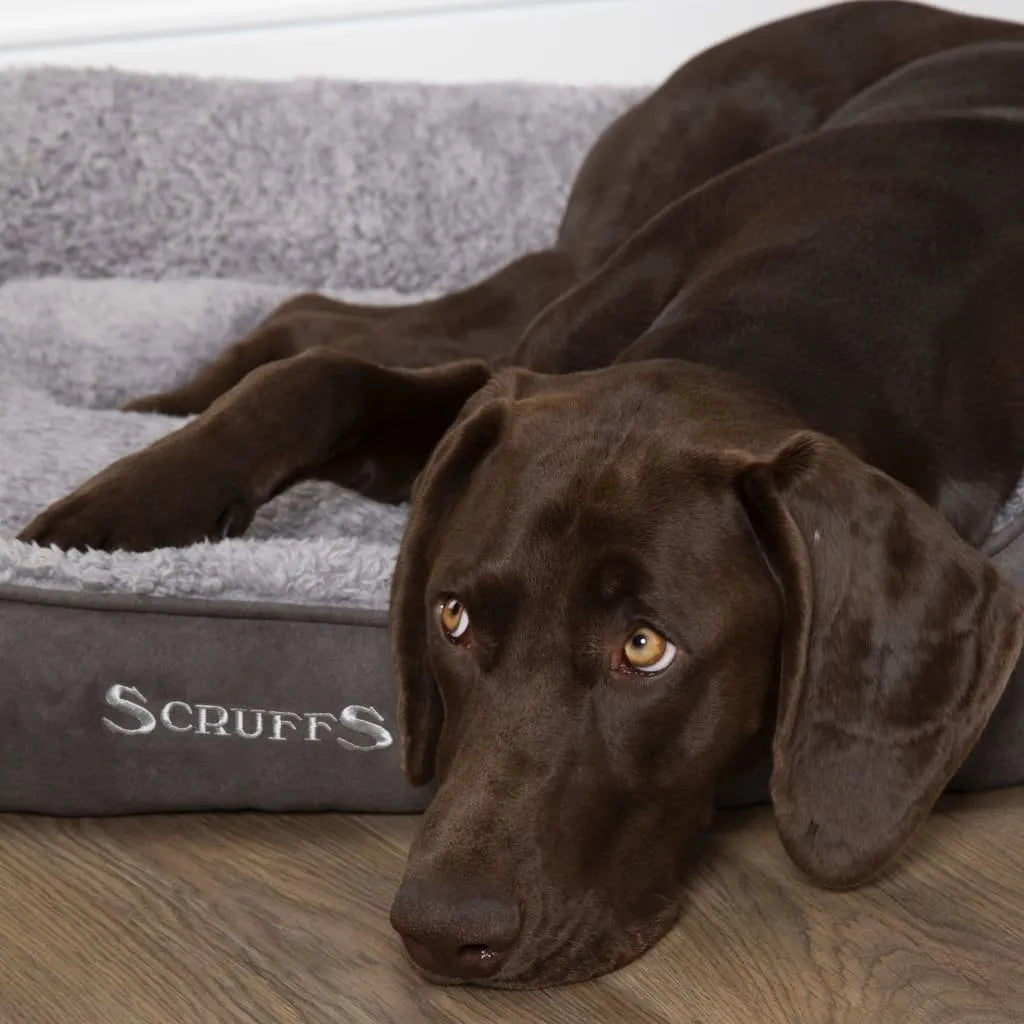  Scruffs Haustierbett Cosy Grau XL
