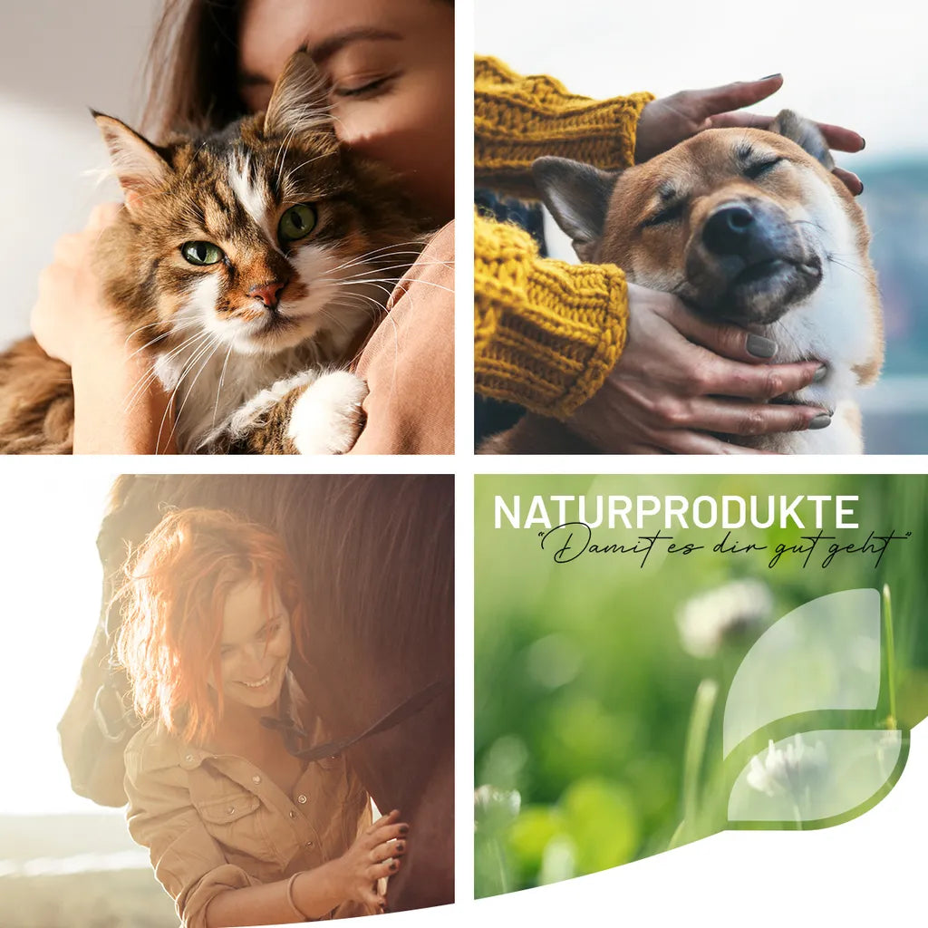  REAVET Natur Hundefutter Trocken 5er Set (5x500g) – 100% Natürlich Trockenfutter Hund, Getreidefrei Für Allergiker, Hunde Trockenfutter, Natur Ohne Chemie Und Künstliche Vitamine