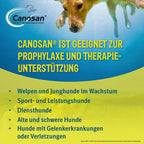  Canosan Konzentrat Vet. 1300 G