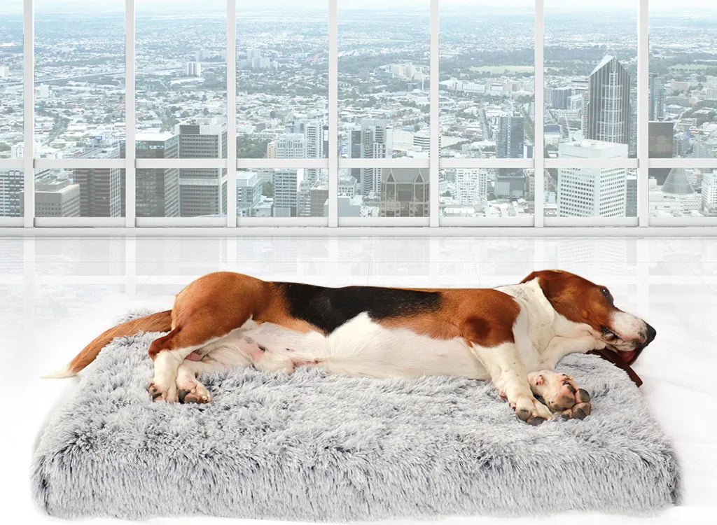  The Pets Smile Plüsch Hundekorb,Hundesofa,Hundekissen,Hundebett,Hundekörbchen,waschbar, Plüsch Kissen, Für Große Hunde