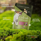  Pawlie's Gelenktabletten Für Hunde (NEU) | Grünlippmuschel Hund, Glucosamin, MSM & Teufelskralle | Hunde Leckerlis Mit Omega 3, 100 Stück, Hohe Akzeptanz, In DE Hergestelltes Ergänzungsfutter