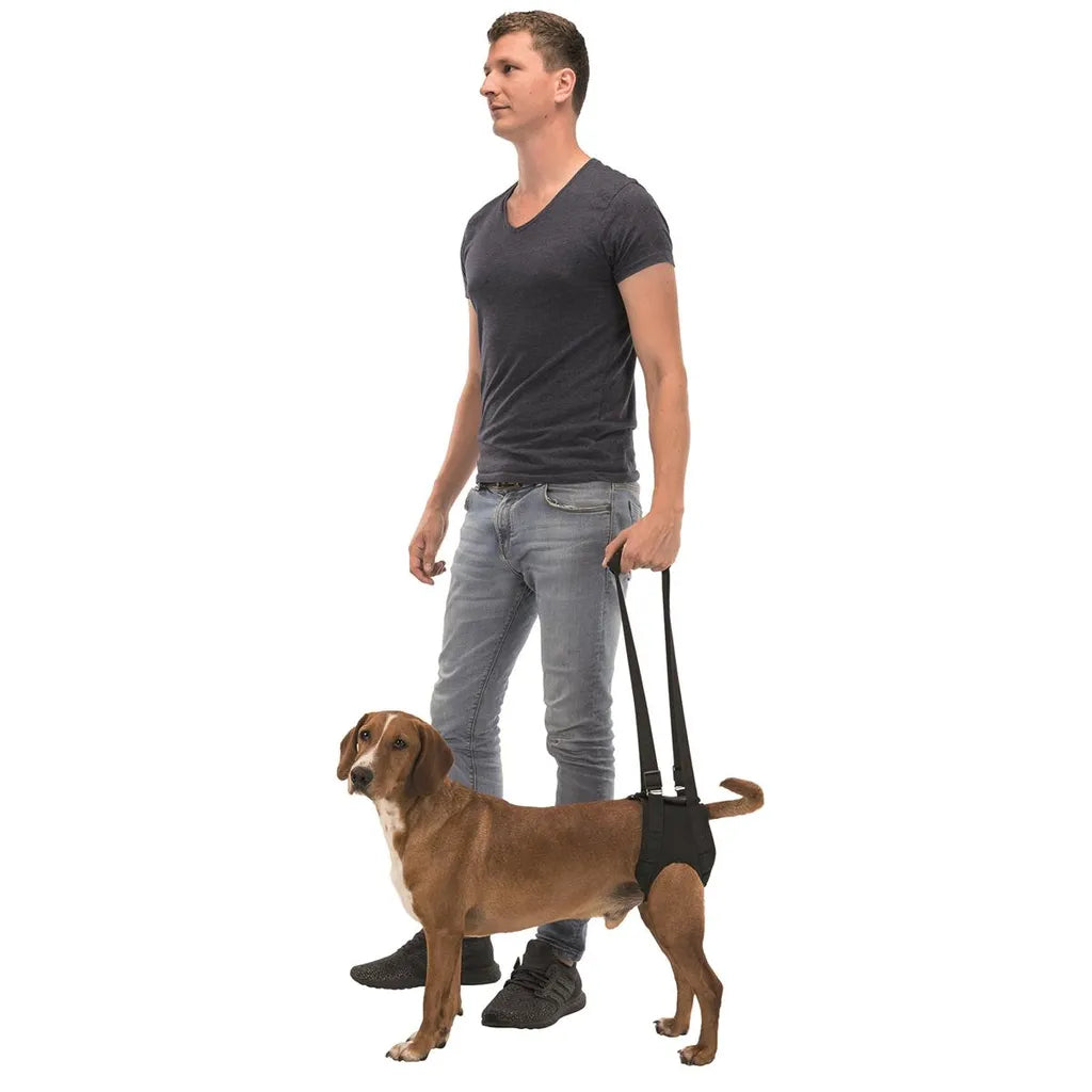  Trixie Hunde Gehhilfe In Schwarz