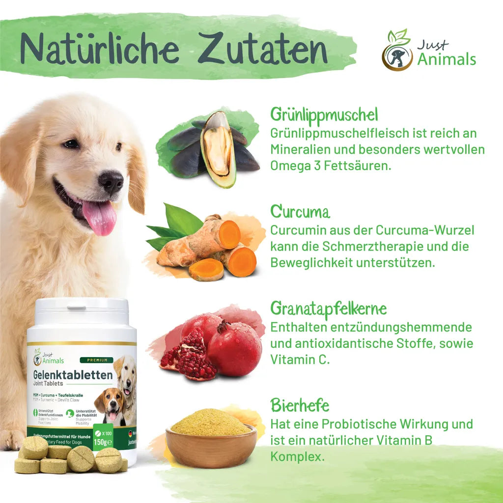  Gelenktabletten Für Hunde Mit Grünlippmuschel, Teufelskralle, MSM, Chondroitin, Glucosamin